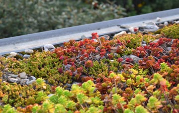 the cost of Half Moon Village green roof installation